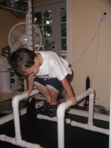 Luke Baye performs a ball planche on the parallettes Luke Baye performs a ball planche on the parallettes