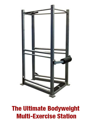 The UXS Ultimate Bodyweight Multi-Exercise Station