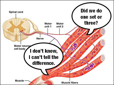 One set of an exercise or three?